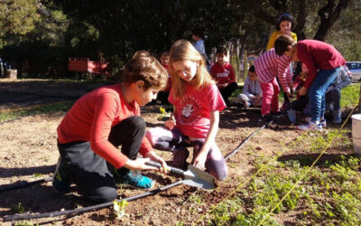 Plantación de hortalizas en la Escuela Comarcal