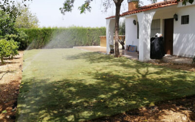 Pradera de césped en casa de campo